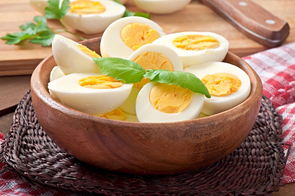Eggs Promote Healthy Hair Growth